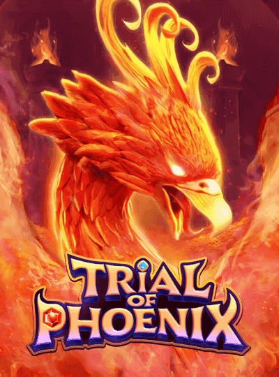 c168m